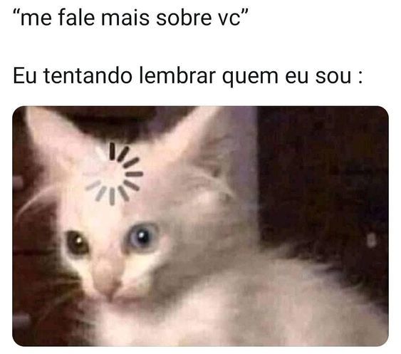 Literalmente eu  Frases engraçadas para rir, Memes engraçados, Meme  engraçado