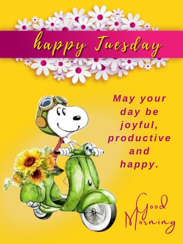 Happy Tuesday! 30 Blessings Images for Whatsapp and Mobile